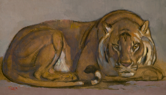 Paul JOUVE (1878-1973) - Tigre couché, tête de face. 1932.